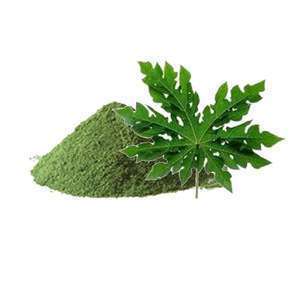 image for Papaya Leaf Powder