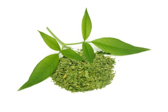 image for Nochi Leaf Powder