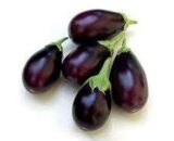 image for Bhagyamathi Brinjal seeds