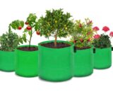 HDPE 12x12 Grow Bags for Home Gardening